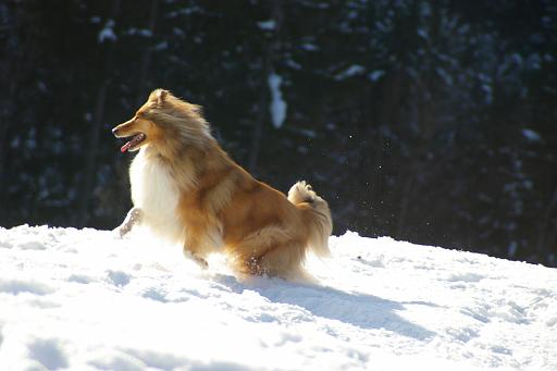 Fotos f. Homepage Galerie 053